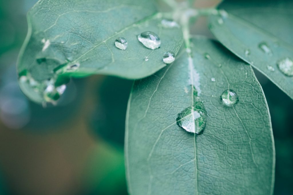 Naturopathie Réflexologie Énergétique